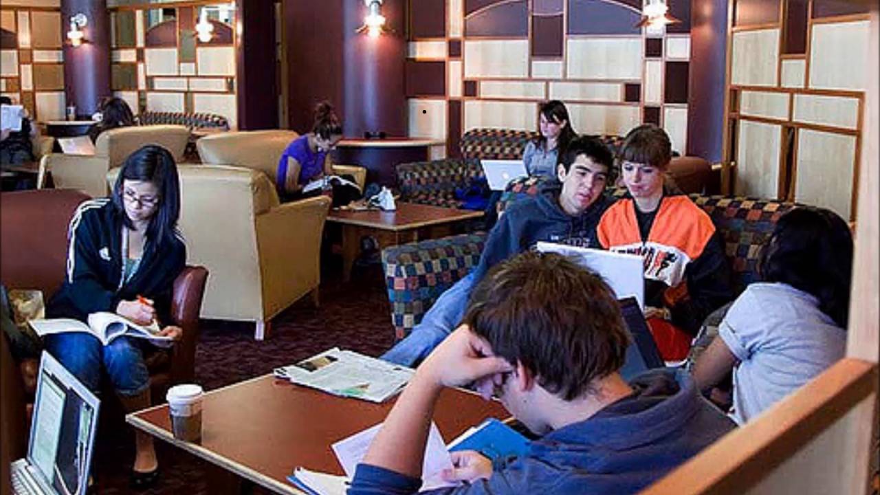 Why go to university. Why go to university