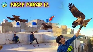 Eagle Ko Finally Pakar Liya 🔥😎 || easy eagle trap Using net 😍 || how to catch eagle