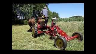 Mowing a Contour Strip on Ridgewind Farm