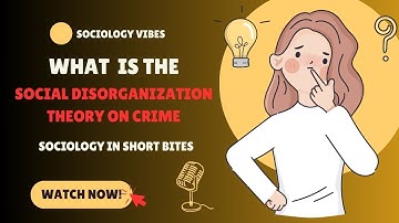 What are Social Disorganization & Culture of Deviance Theories? | Intro  to Sociology | Crime |