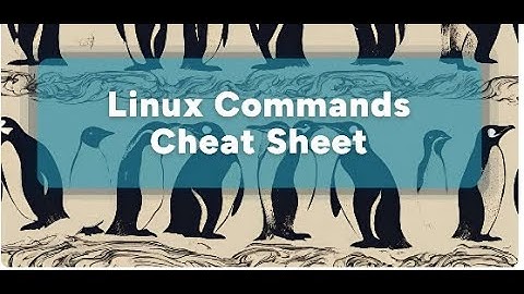 Mastering Linux File Management: mkdir, touch, and rm — From Zero to Hero