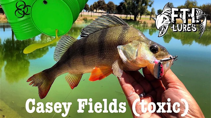 FTL Lures - Exploring Casey Fields
