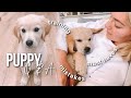 Puppy Q & A! Training tips, must haves + mistakes we've made!