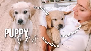 Puppy Q & A! Training tips, must haves + mistakes we've made!