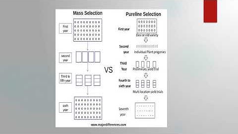 Pureline and Mass Selection | B.Sc Agriculture | Fundamentals of Plant Breeding