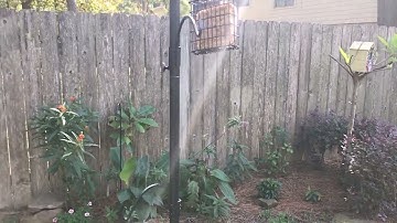 OUHOUG - Bird Feeder Station (6 Hooks Plus) - Unboxing - Bought on Amazon