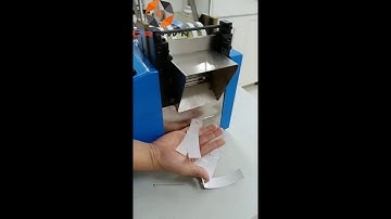 Automatic Strip Material Cutting and Hole Punching Machine ZCUT-100ST - Suzhou Crown