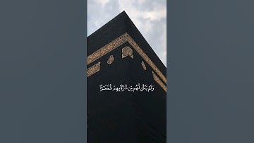 ﴿ الله يبدؤا الخلق ثم يعيده ﴾ سوره الروم، عبدالرحمن مسعد #قرآن #ارح_قلبك #قران_كريم