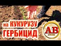 🌽ЯК НЕ КРУТИ А КУКУРУДЗА  ПОВИННА БУТИ ЧИСТА ПІСЛЯ #ГЕРБІЦИДУ