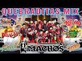🔥 Mix Quebradita 90´s Para Bailar 🔥 Banda Machos, Banda Maguey, Banda El Recodo... y mas 🔥🔥🔥