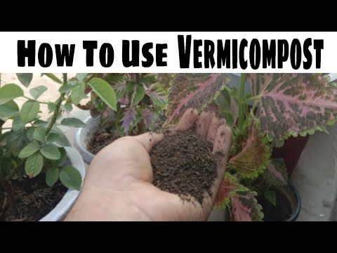 Vermicompost Benefits For Plants / How To Use Vermicompost In plants / ALL