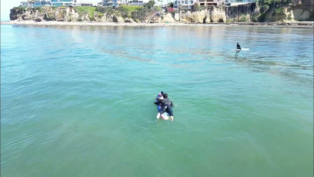 Sammy the Seal steals this surfers board three times out in the Pacific
