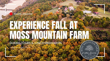 Experience Fall at Moss Mountain Farm: Guided Tours & Lunch Highlights