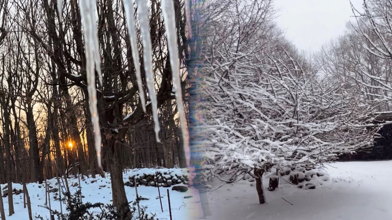 Winter ASMR ❄️ snow, icicles, tapping, scratchingg