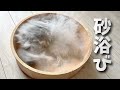 チンチラの砂浴びが激しくて部屋が真っ白になりました【chinchilla】