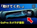 無惨…ダイバー5人が石油パイプに吸い込まれ、生還者は一人だけ。一体何が起きた? 2022年パイプライン事故