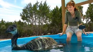 Maya and Stompy relax in the pool at Alveus