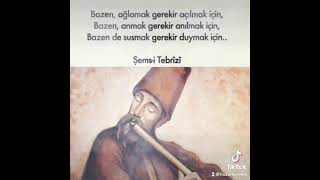 Bazen Susmak Gerekir Duymak Için. Resimi