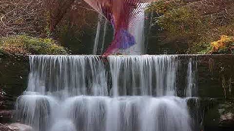 ♥Swish Max 4 Vortex Zoom Mask♥