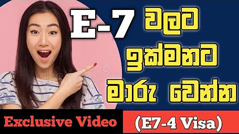 E7-4 Visa Full Review in Sinhala - (E7-4