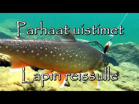 The best lures for wilderness fishing !!! [ENG SUBS]