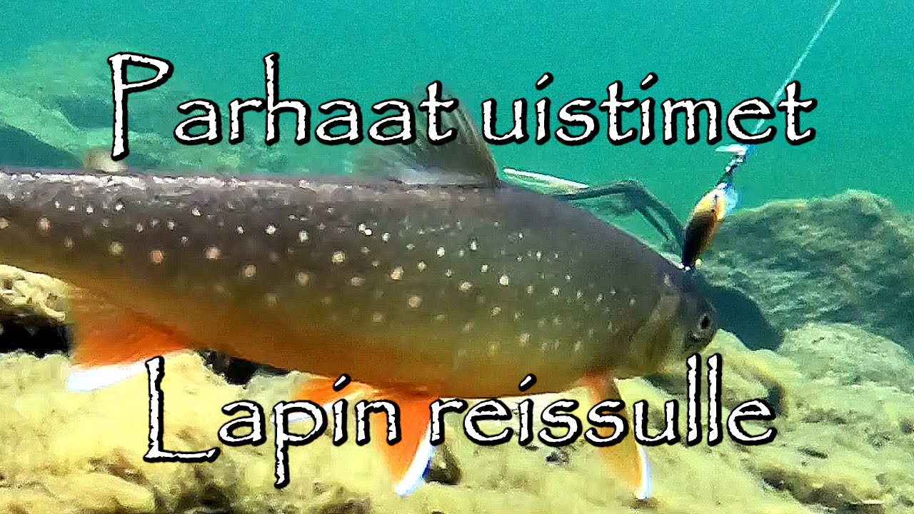 Parhaat uistimet Lapin reissulle [ENG SUBS] The very best lures for wilderness fishing!!!