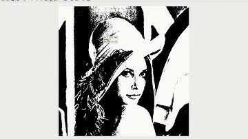 INFO430 Multimedia - chap2 sec 1 - Image Data Types