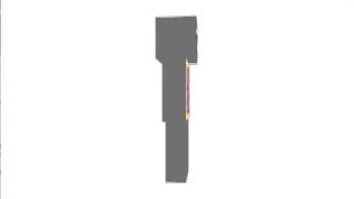 Minecraft Nyan Cat Skin Minecraft Nyan Cat Skin