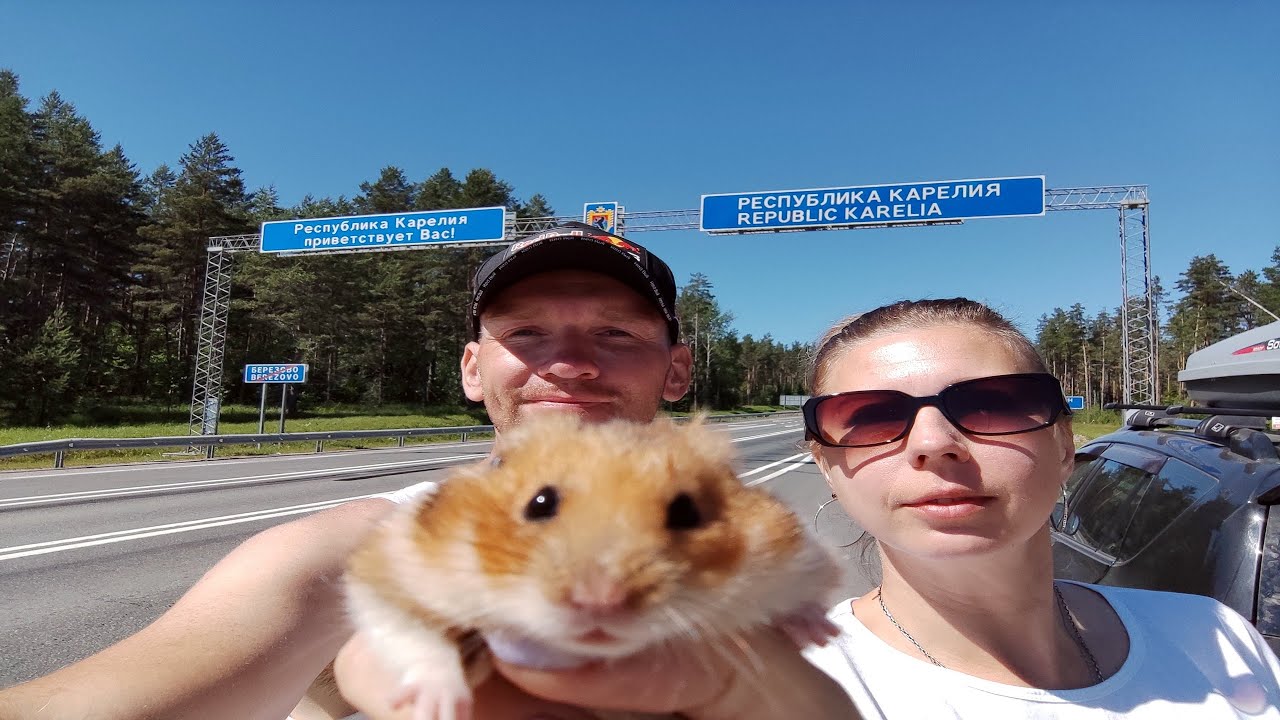 Республика Карелия, путешествие вокруг Ладоги 2022 - YouTube