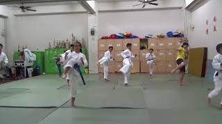 20171012中原大學空手道社練習6(側踢移動式)mp4