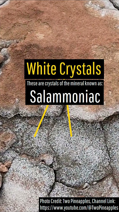 Unusual White Crystals on the Mauna Loa Volcano