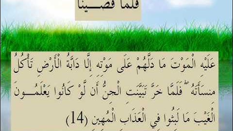 القران الكريم سورة سبأ الأية 14.wmv
