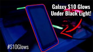 The Samsung Galaxy S10 Glows under Black Light! #S10Glows