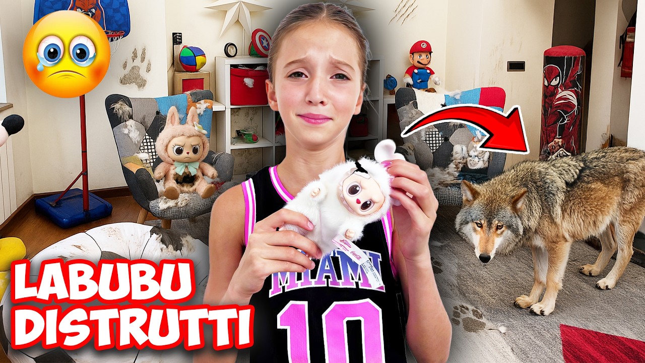 FIGLICHIARA SCOPRE CHE I LUPI SONO ENTRATI DI NASCOSTO IN CASA E HANNO DISTRUTTO LE LABUBU !