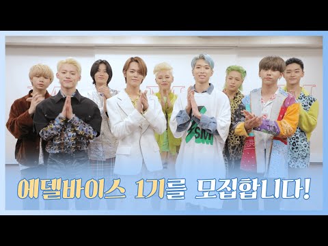TFN 에델바이스(EDELWEISS)