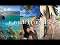 A week in my life travelling to the cook islands  exploring best cafes things to do 