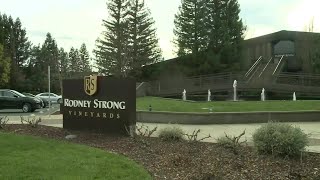 Wine Country vineyard spills nearly 100K gallons of red wine in river