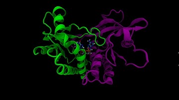 Molecular dynamic simulation