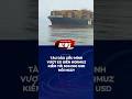 Bất chấp rủi ro, tàu dầu liều mình ra biển để kiếm nửa triệu đô mỗi ngày. #news #trungdong