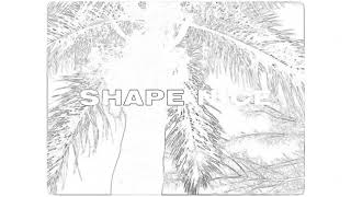 Afro B, Vybz Kartel, Dre Skull - Shape Nice