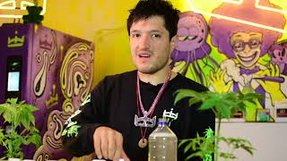 Jelly Tuts - Capitulo 4 Bases Micro, Grow, Bloom Y Sistema De Ph Perfecto.