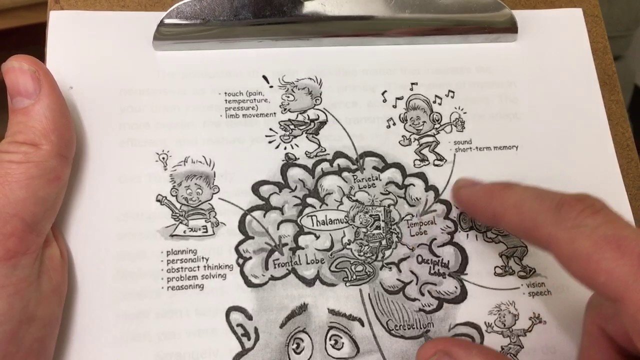This Is Whats Going On In Your Brain >> What S Going On In Your Brain Youtube This Is Whats Going On In Your Brain >> What S Going On In Your Brain Youtube
