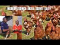 Omanya otya ekika kyenkoko ekisinga how to choose the best chicken breed for your farm