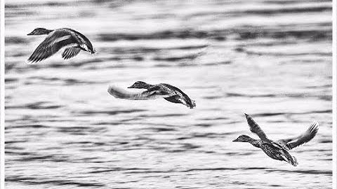 How I edit my photos - Google Snapseed Tutorial