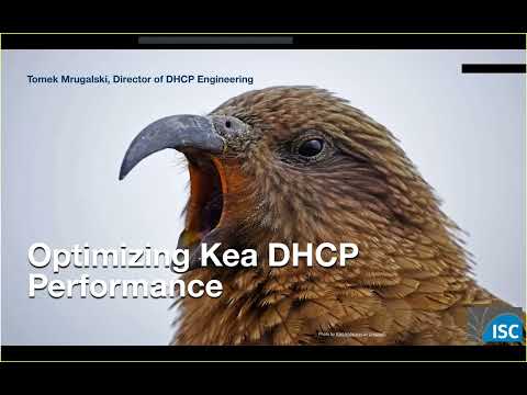 Optimizing Kea Performance