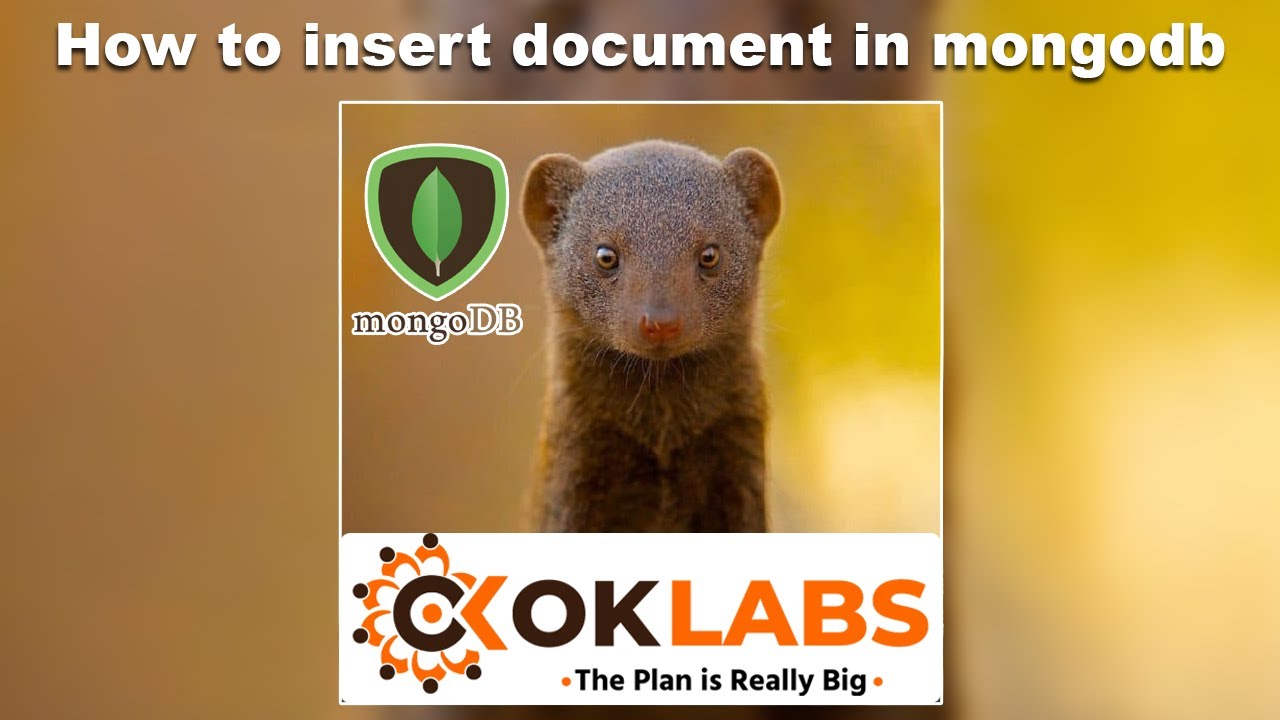 How To Insert Document In Mongodb 9 YouTube
