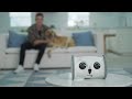 Skymee Owl Robot Smart Interactive toys for your dogs and cats.