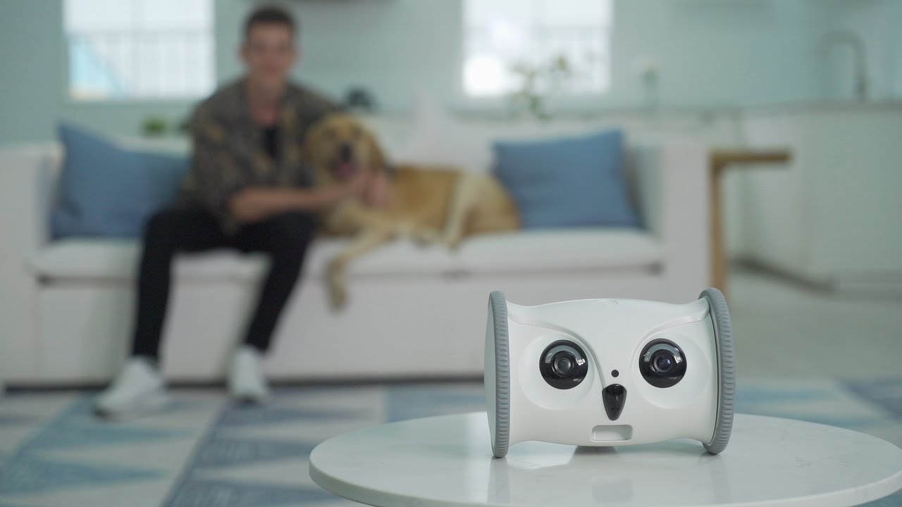 Skymee Owl Robot Smart Interactive toys for your dogs and cats.