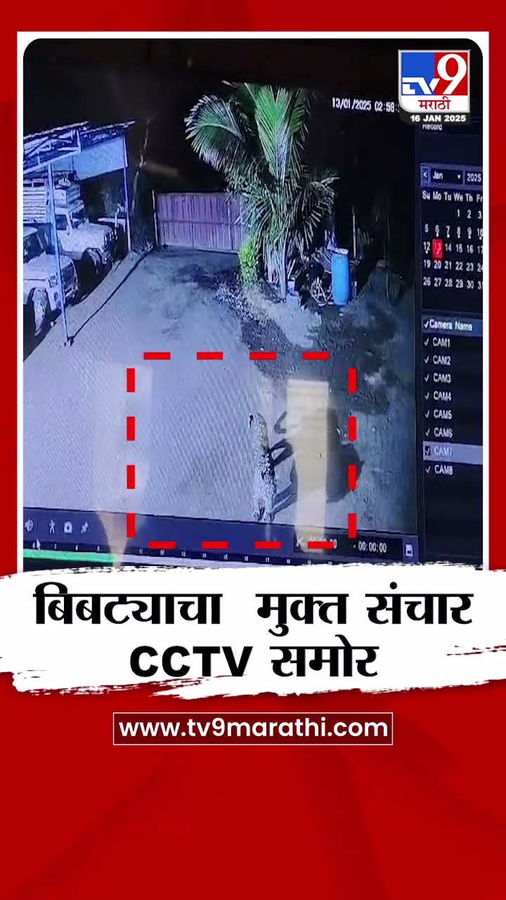Malegaon मध्ये बिबट्याचा मुक्त संचार, CCTV समोर... | tv9 Marathi