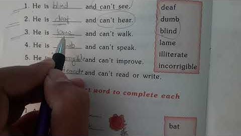 English class 6th | Unit 5 | A different kind of school | Workbook solution